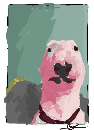 strong contenders

the dog meme was done in paint while we were on lockdown 😭 