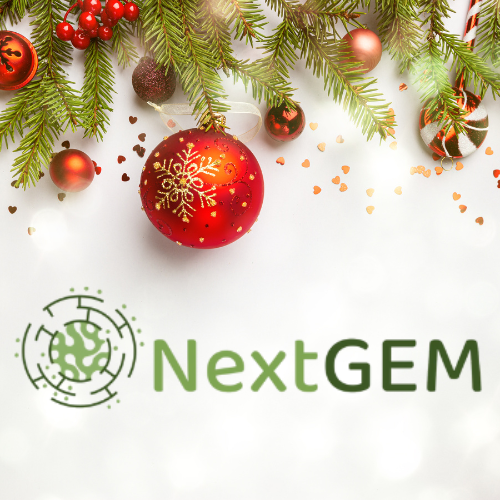 Merry Christmas from NextGEM to all of you! #Christmas #SantaIsComing