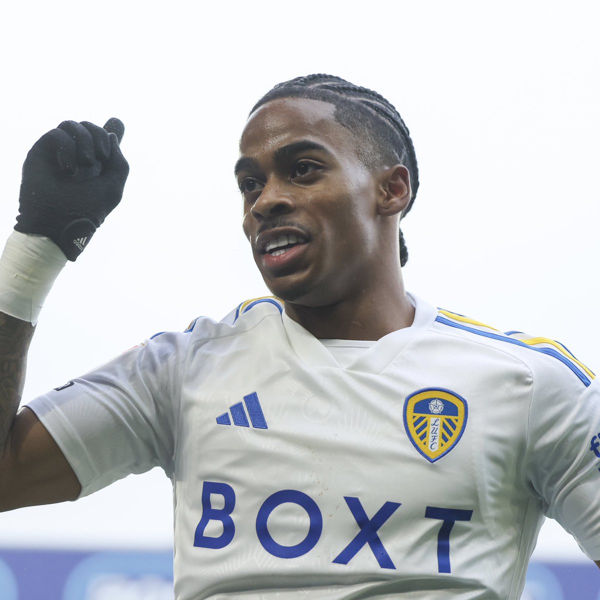 Between the Lines tweet media