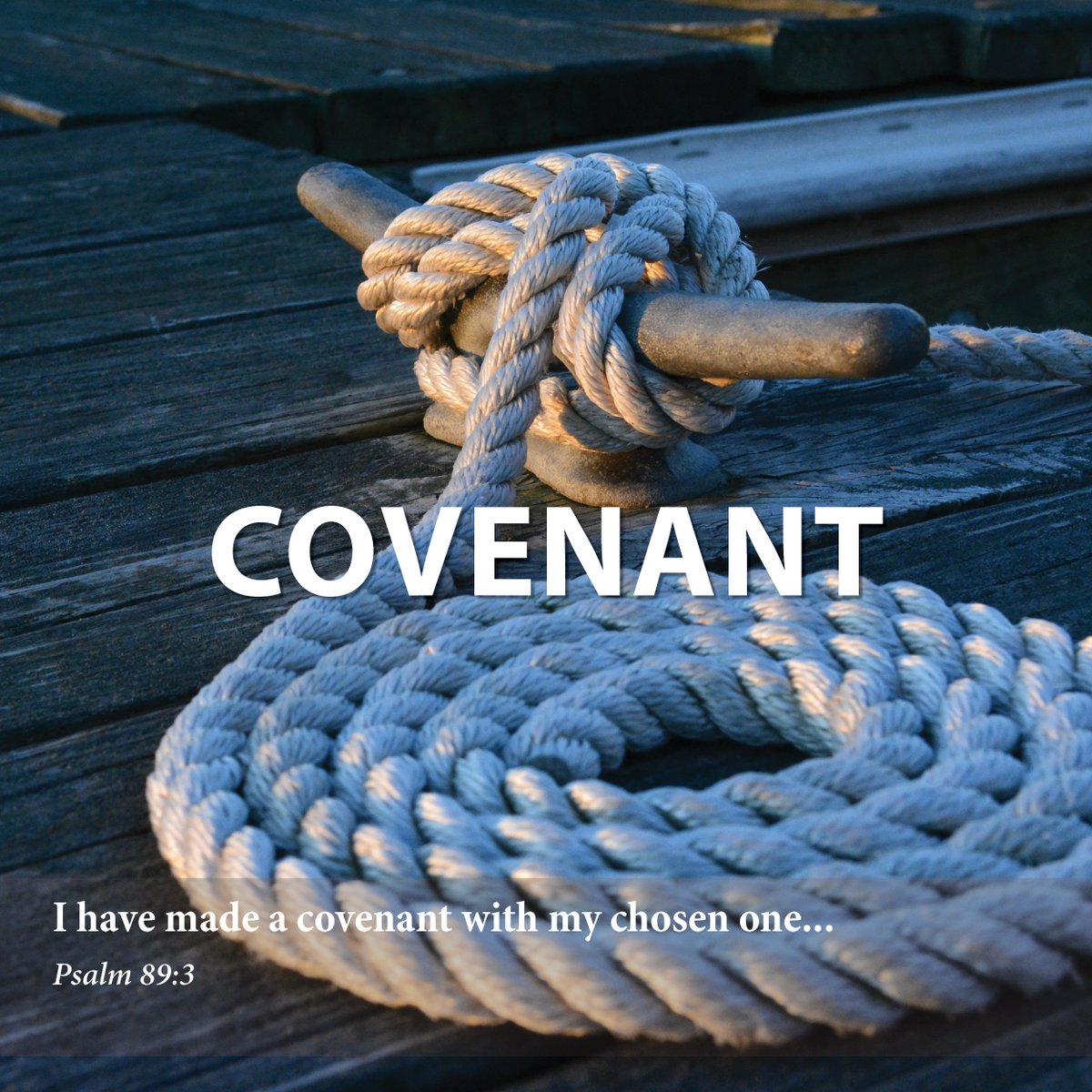 COVENANT

We have journeyed together toward Bethlehem, through all the wonders and worries of Advent. Feet aching, backs bent, head down, we continue walking toward a promise. Keep reading: adventword.org