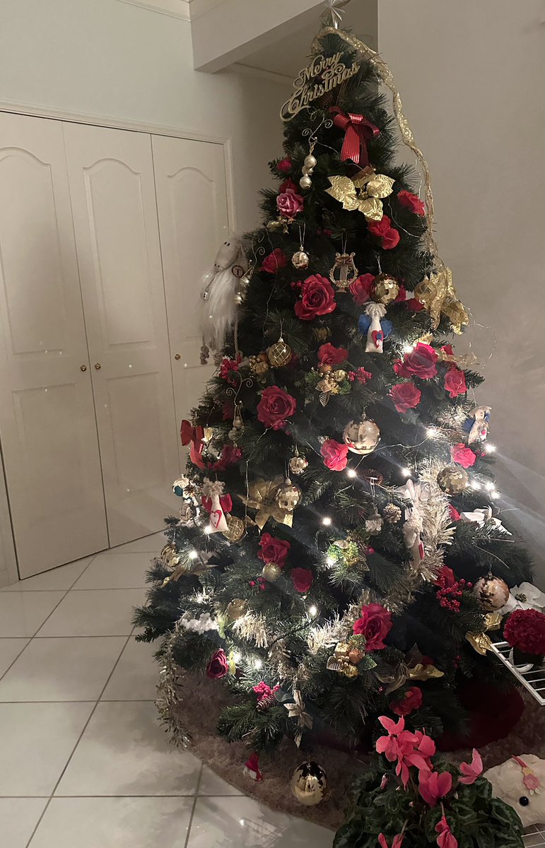 MISAO_FLUTE's tweet image. 帰宅したらクリスマス🎄ディナーが用意されておりました😆 Thank you mom! 👵🏻✨💓タイのカルパッチョ、チキン🍗、鮑の酒蒸し、メインはローストビーフはだいたい我が家のクリスマス恒例のメニューです。早くケーキ🎂が食べたいわ🤤🎅🎄✨#クリスマスディナー　#ファミリークリスマス