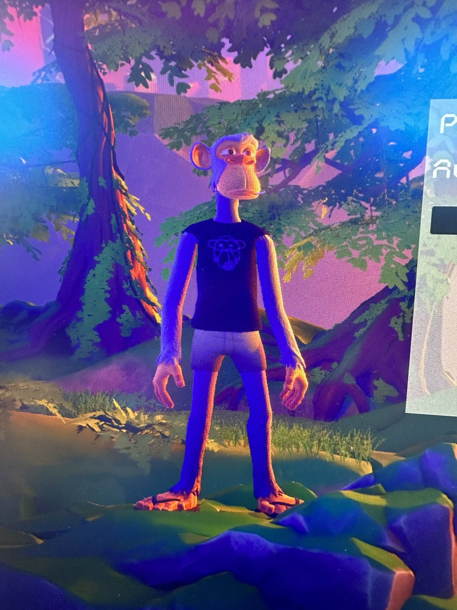 By owning a <a href="/BoredApeYC/">Bored Ape Yacht Club 🍌</a> you’re not only part of the coolest club on earth 🌍 

You are also getting a digital identity, that will not only exists through The Otherside, but everywhere 🤩

The future is about augmented reality. And trust me bro, we’re going to be EVERYWHERE 🦧