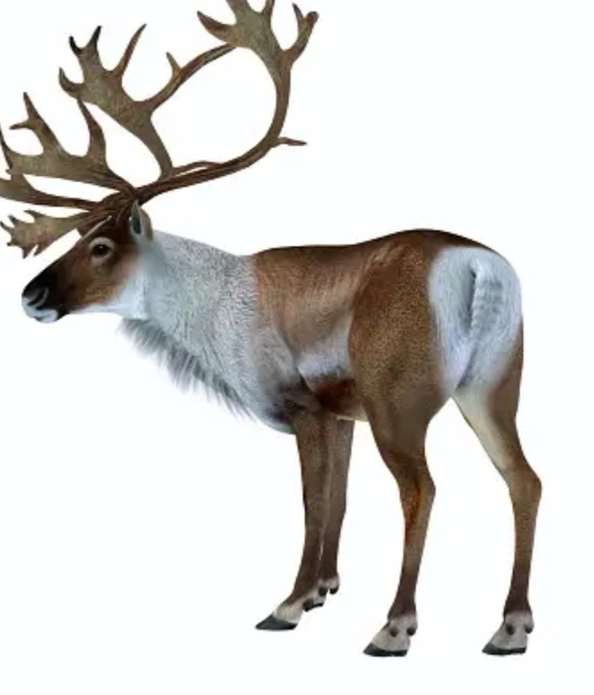 A Christmas poem.

Once again, it is that time of year,
Lots of food and
Christmas cheer.

The fires lite, put on another log,
Look outside, there's mizzle and fog.

The outside Christmas decorations blow in the wind,
The Carol singers, aloud they sing.

So Santa Clause is