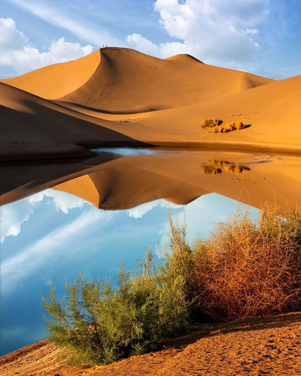 iranbunka's tweet photo. ヤズド市の砂漠とその魅力的な美しさ。
写真:シャフラム・ハフェジ。
#Iran #Japan #Iran_Japan
#Yazd #Kavir
#イラン
#イラン文化
#イラン大使館 https://t.co/aRcffgWUpE