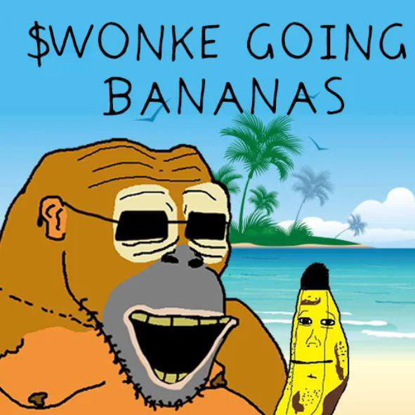 Wonke Wonke tweet media