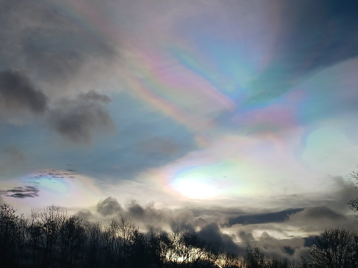 Tim Morris M.Sc. tweet media