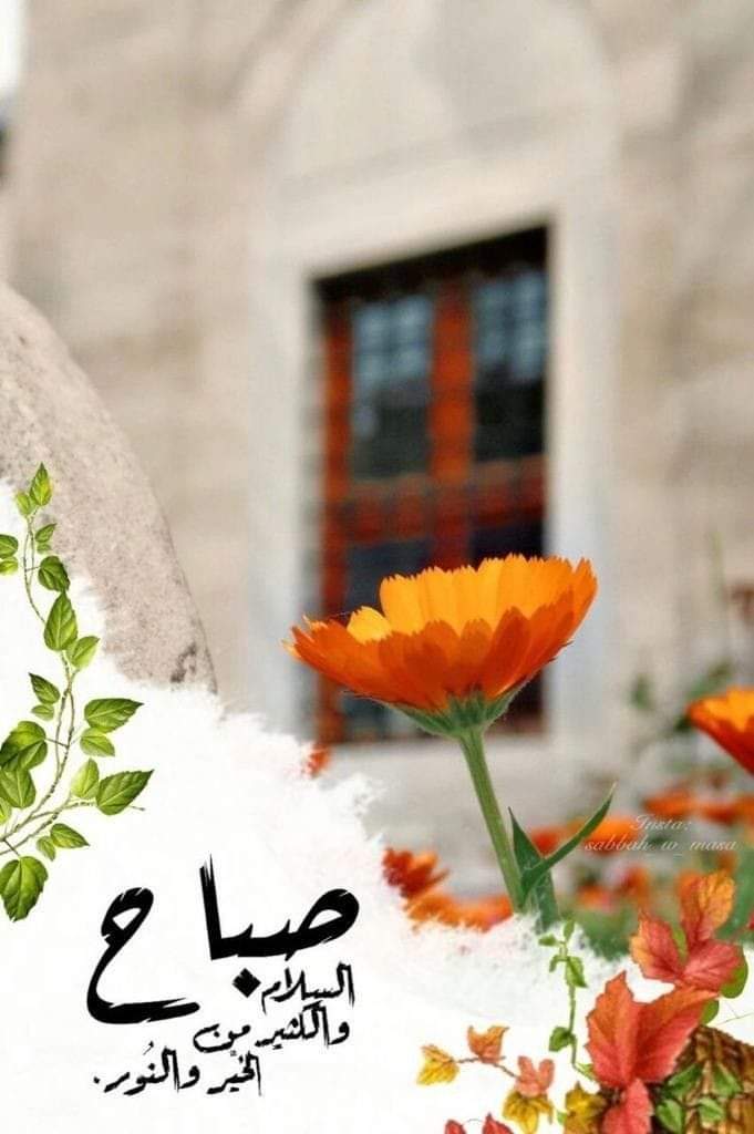 أصبحنا واصبح المُلك لله ، اللهم إني أسألك لُطف القدر، وحلاوة الأيام، وسعادة الروح وراحة البال 

صباح الخير 🌹♥️ 
•