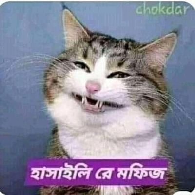 RAFAEL HENRIQUEZ VEL tweet media