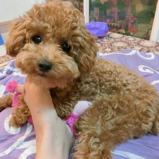 pinnatilobate squall solyanka
Mình muốn tìm một người bạn cùng sở thích để cùng nhau khám phá ẩm thực đường phố và thưởng thức những món ngon đặc trưng từ các quốc gia khác nhau.