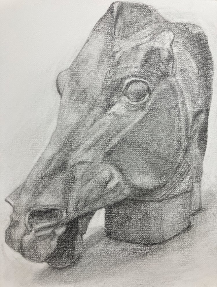 Campbellyosuke's tweet photo. 今年は石膏像たくさん描きました。
CGの勉強のためにはじめましたが、ただただ趣味になりつつあります。
来年は水彩画やります。 https://t.co/kH5ORgTcBC