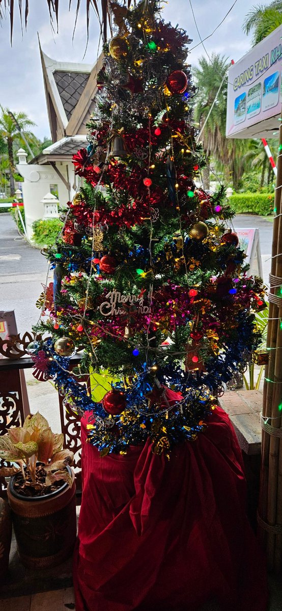 Ari Kela (@arikela_) on Twitter photo 