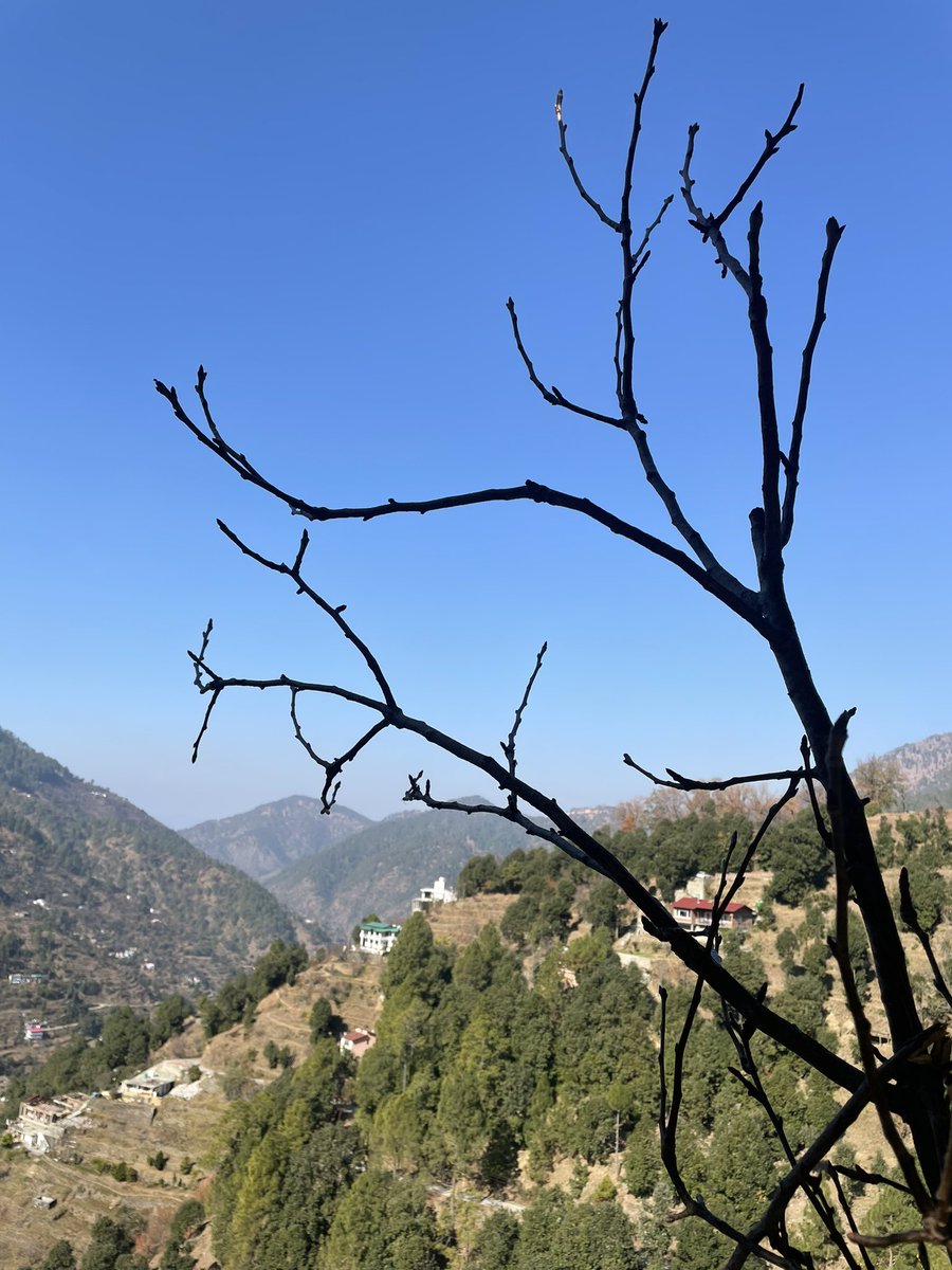 bhartijainTOI's tweet photo. #ViewFromTheRoom https://t.co/h8EFk9sUT6