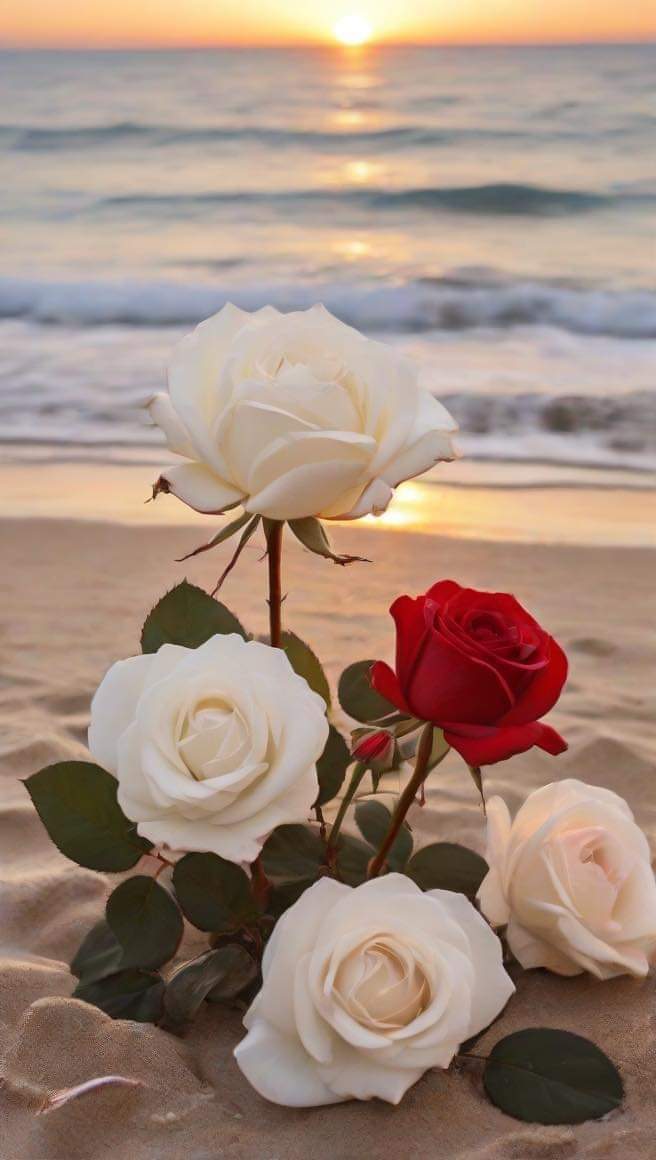 ﺃﺷﺨﺎﺹ  ﻋﻨﺪﻣﺎ   ﺗﻠﺘﻘﻲ ﺑﻬﻢ ﺗﺸﻌﺮ ﺑﺄﻧﻚ ﺍﻟﺘﻘﻴﺖ ﺑﻨﻔﺴﻚ .
ﺍﻟﻨﻔﺲ ﺍﻟﻄﻴﺒﺔ ﻻ ﻳﻤﻠﻜﻬﺎ ﺇﻻ ﺍﻟﺸﺨﺺ ﺍﻟﻄﻴﺐ
ﻭﺍﻟﺴﻴﺮﺓ ﺍﻟﻄﻴﺒﺔ ﻫﻲ ﺃﺟﻤﻞ ﻣﺎ ﻳﺘﺮﻛﻪ ﺍﻹﻧﺴﺎﻥ ﻓﻲ ﻗﻠﻮﺏ الاخرين..