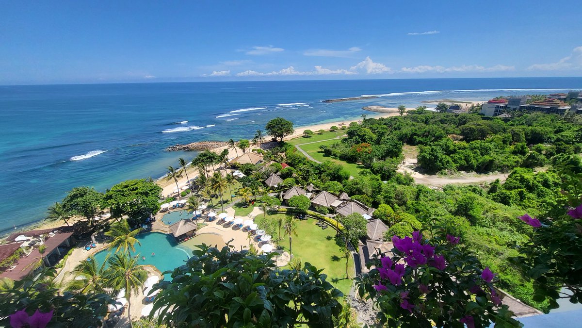 NextGenius 🇦🇺 tweet media