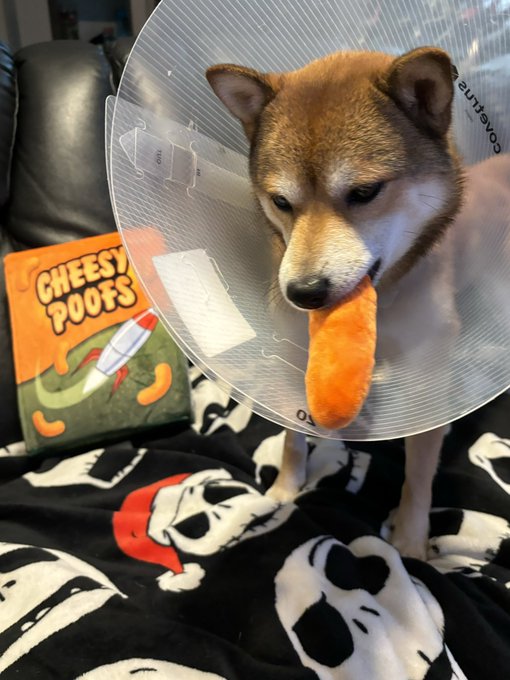 ponyo w the poof https://t.co/Vy51eTLhhr<a href="/tag/berserk"class="tags"><span>#berserk</span></a>