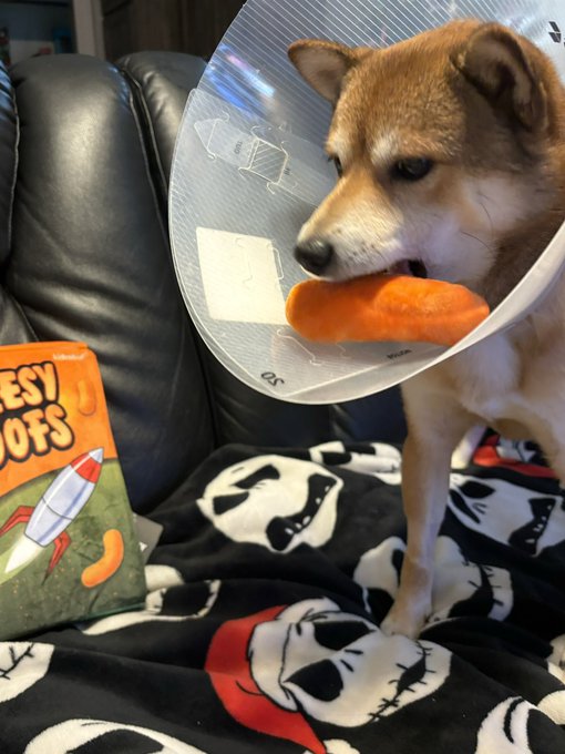 ponyo w the poof https://t.co/Vy51eTLhhr<a href="/tag/berserk"class="tags"><span>#berserk</span></a>