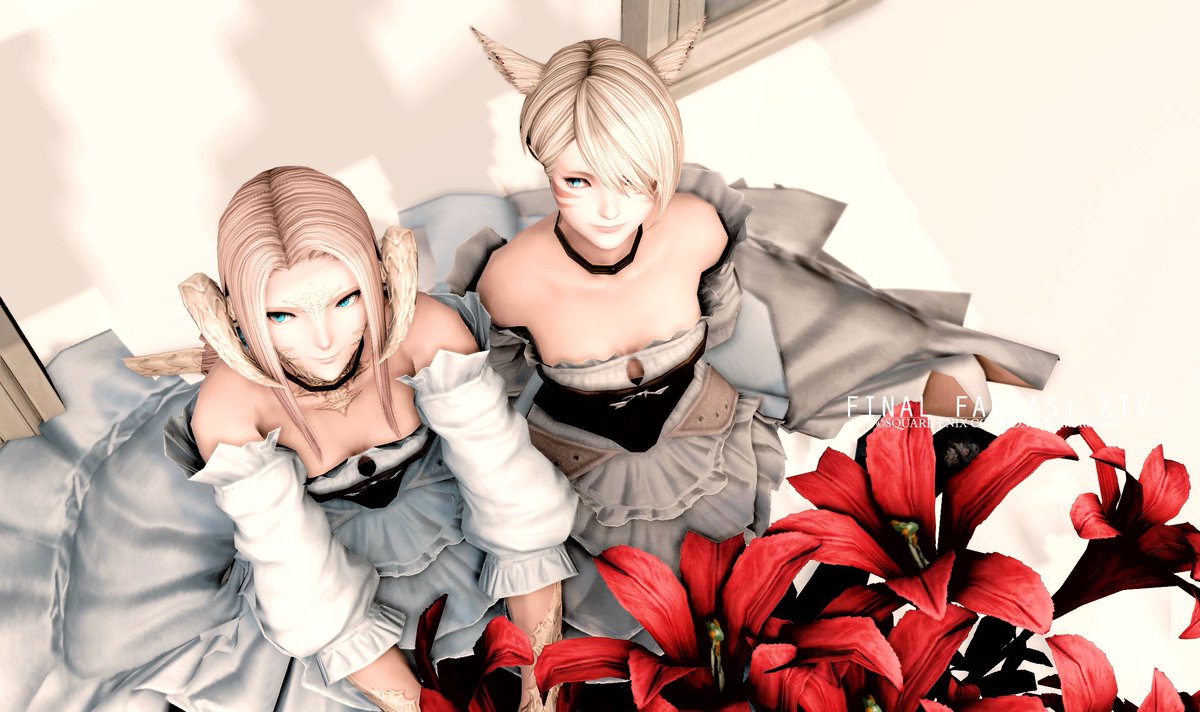EIL_ff14's tweet photo. ②クリスマスブース以外でも📸
#SD_Emihara
#前角アウラ #ミコッテ #アウミコ https://t.co/9YI8EwRxGc