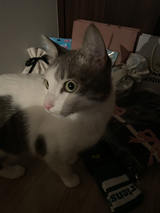 Twitterのコスプレ画像4