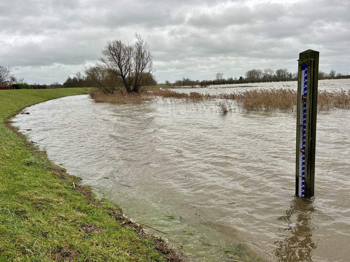 Er komt nog circa anderhalve meter bij in de IJssel. Dat is best hoog, maar nog altijd ruim onder de stand van het extreem hoogwater in 1993 en 1995.