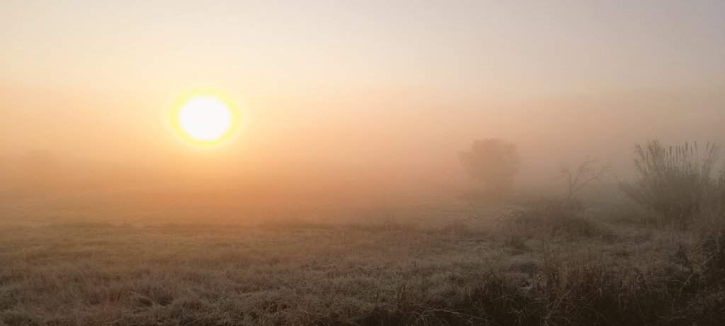 Mai havia vist la terra tant seca, no plou o poca cosa i el vent del nord encara empitjora la situació. 
La plana de Lleida viu amb aquesta situació des de fa molt de temps i  actualment l aigua i el clima extrem és la preocupació més important per a molts pagesos i ramaders.