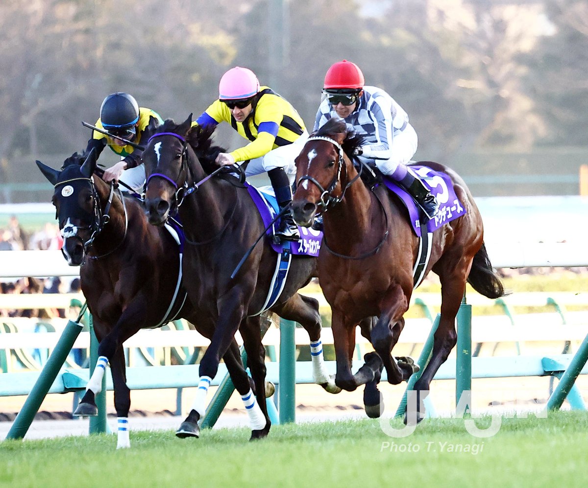 ☆希少・当選品☆ JRA 第68回 有馬記念 ドウデュース コレクションセット ☆希少・当選品☆ JRA 第68回 有馬記念 ドウデュース