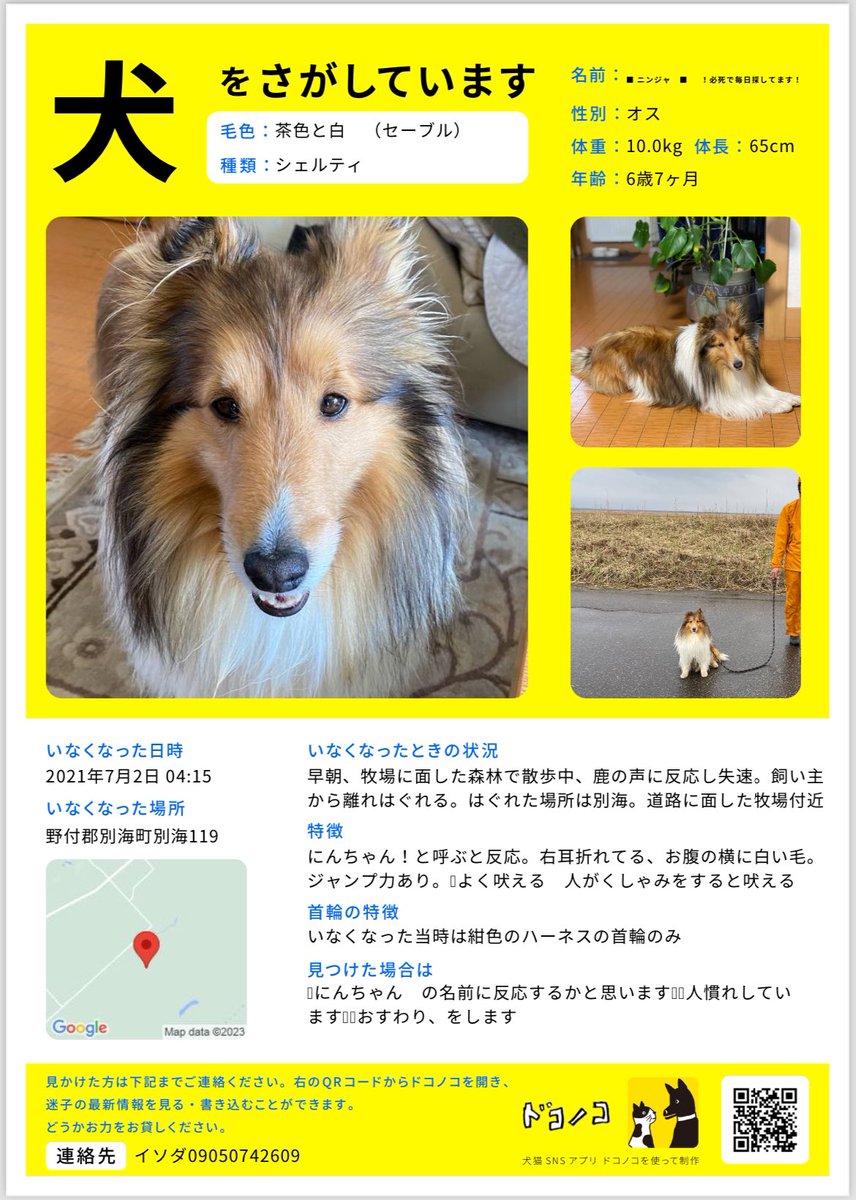 isowanwan's tweet photo. よろしくお願い致します https://t.co/IRXMrgNnf4