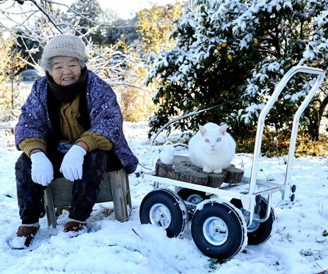 womensart1's tweet image. Japanese photographer Miyoko Ihara, series on the bond between her 88-year-old grandmother Misao and her odd eyed cat Fukumaru #WomensArt