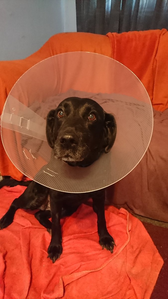 Neil Crosswell tweet media