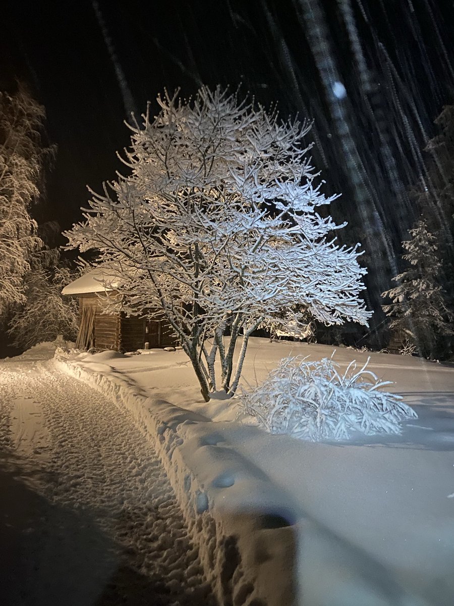 Reijo Karhinen tweet media