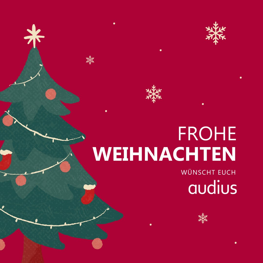 audius wünscht Euch erholsame Feiertage und ein besinnliches Weihnachtsfest!🎄

#audiusgroup #erfolgdurchzuhoeren #weihnachten #froheweihnachten