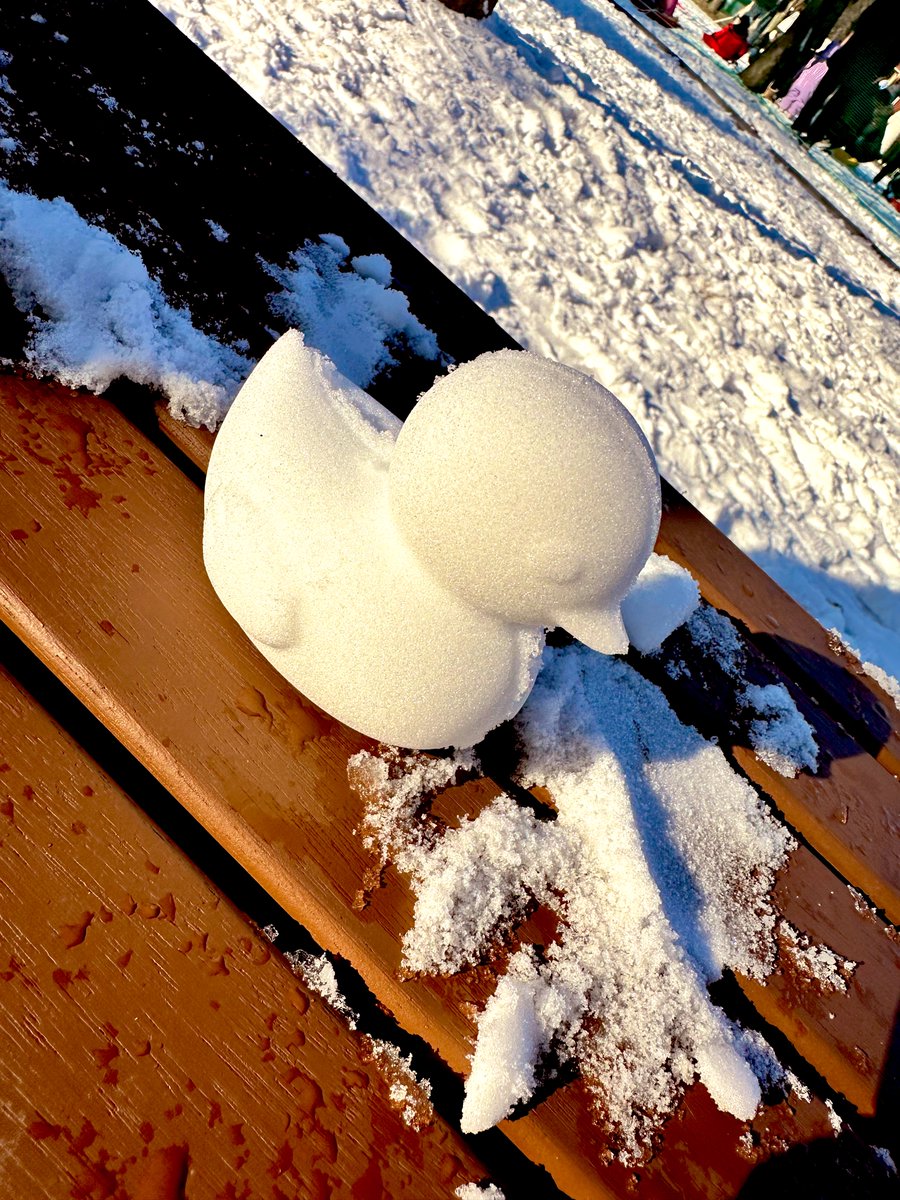 mus_toyy's tweet photo. Frosty vibes and cozy times β winter's embrace feels just right.
#SnowyEscapade #SnowDayMagicβοΈ
@senorita_zee @meet_FOOR https://t.co/4Y2EcJ5Fe8