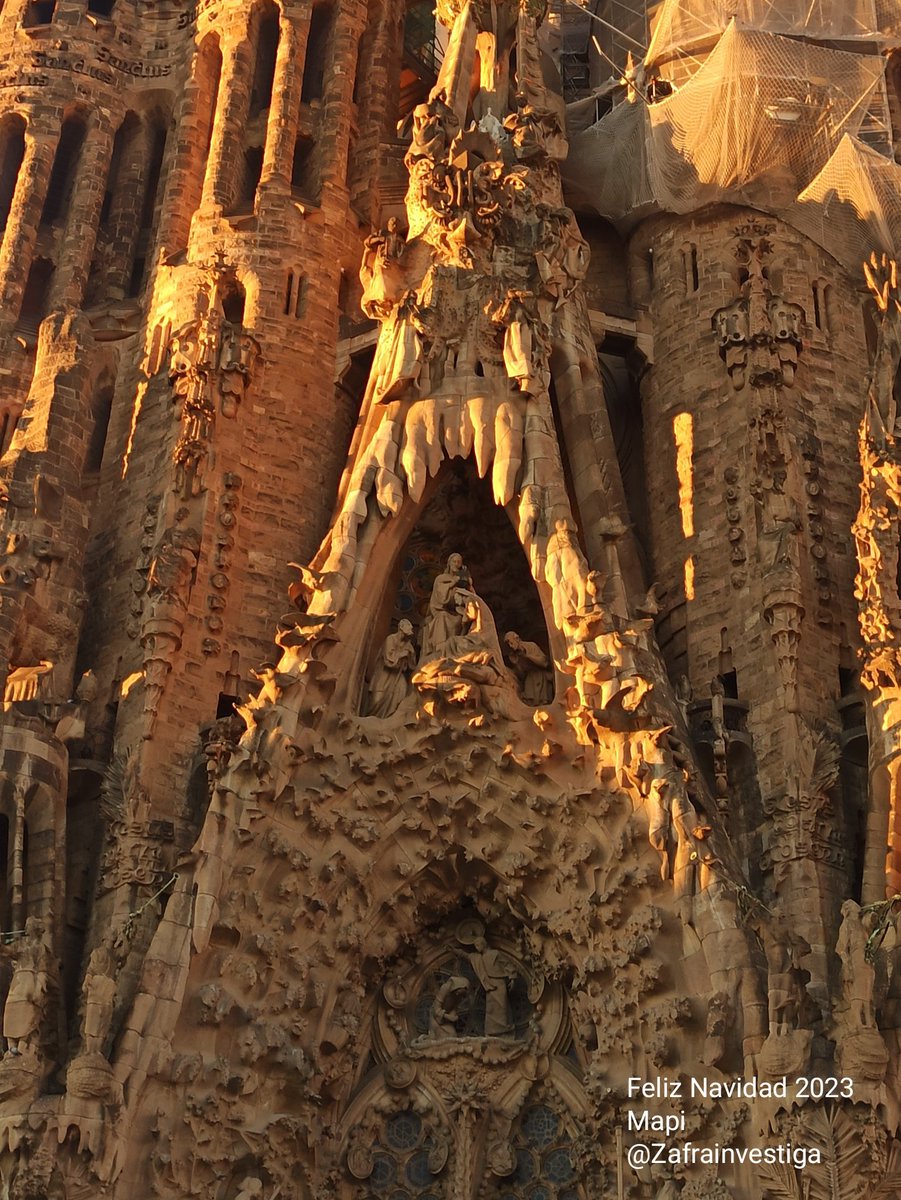 Zafrainvestiga's tweet image. #24Diciembre #NocheBuena
Ojalá siguieran naciendo niñ@s en lugares de paz, recibiendo amor, teniendo los medios necesarios y adecuados para vivir con salud...
Ojalá pudiéramos decir, felices fiestas para tod@s y que así fuera...

📷 #SagradaFamília de #AntoniGaudí a las 8:37 #21D