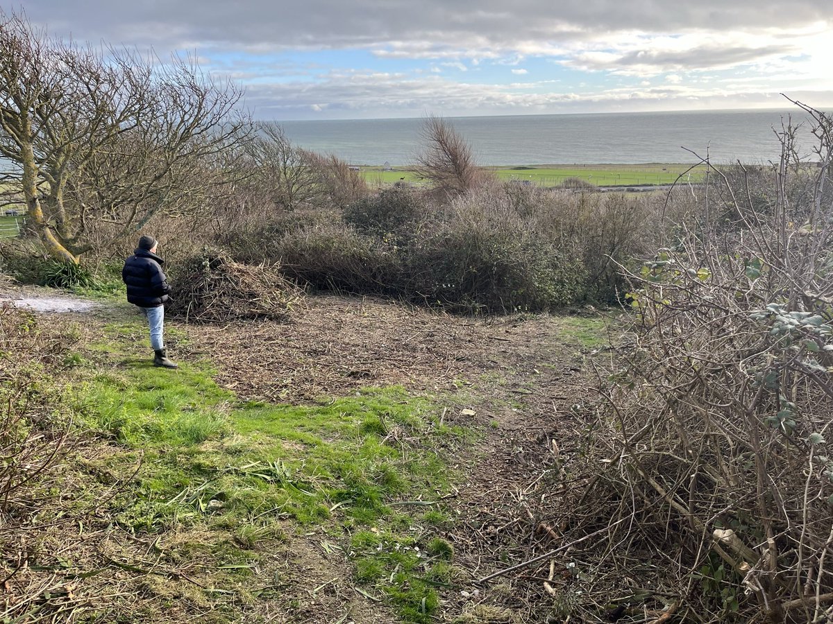 A huge amount of scrub clearance and habitat management has seen #culverwell transformed in the last few weeks. New net rides and new challenges in Spring 24. I cant wait 😁 @PortlandBirdObs