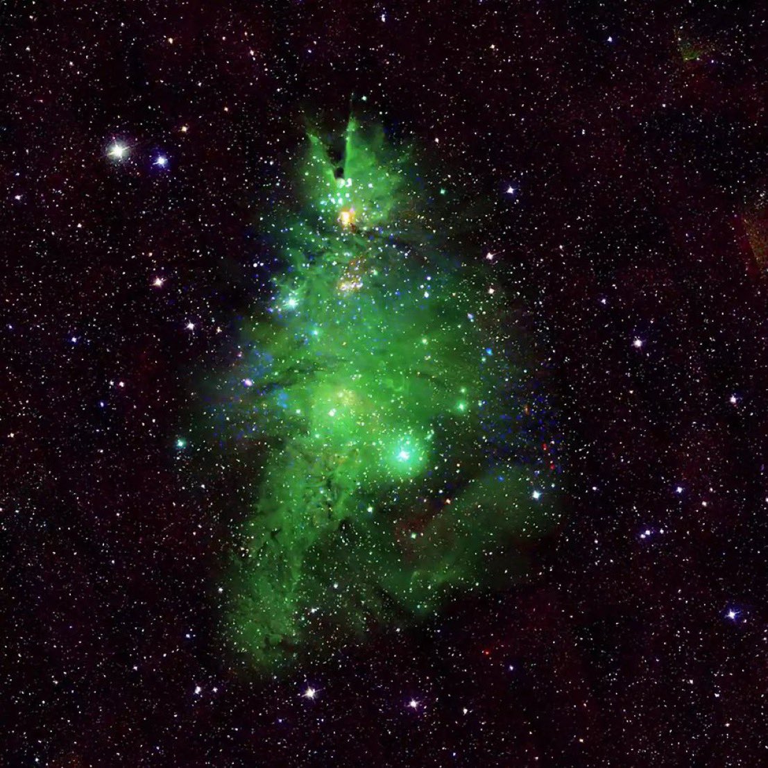MarGomezH's tweet photo. Este es NGC 2264

Un cúmulo de estrellas jóvenes que se asemeja a un árbol de Navidad 🎄

El Cúmulo del Árbol de Navidad contiene cerca de 40 estrellas y en la base de la agrupación esta su miembro más brillante, 15 Monocerotis (S Mon), cerca de 8.500 veces más luminosa que el Sol #FelizNavidad