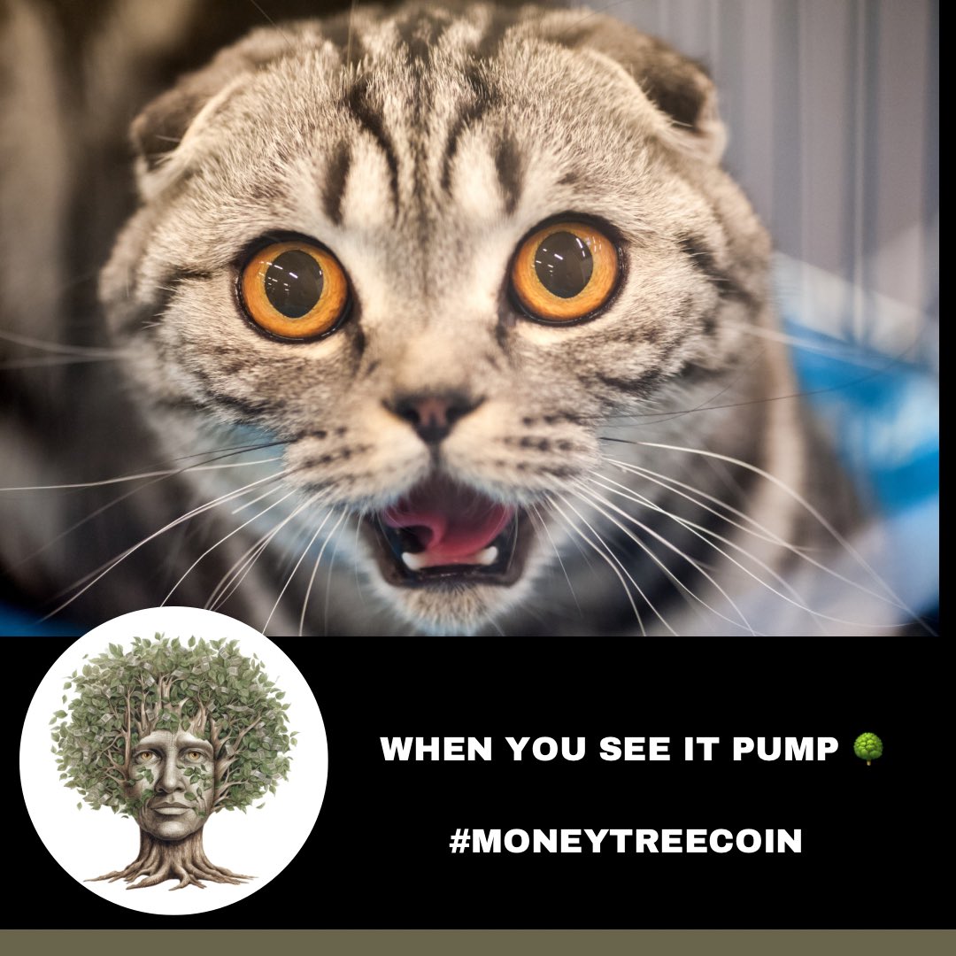moneytreecoin's tweet photo. ๐ Discover the Future of Meme coins with MoneyTreeCoin! ๐
โฐ Act Now Before You Miss Out!
๐ Follow Us @moneytreecoin for Exclusive Insights!
โ
Like, Comment , and Share the Revolution! ๐
#moneytreecoin $MTRC #memecoins #MemeCoinSeason https://t.co/NQr6DXOSmy