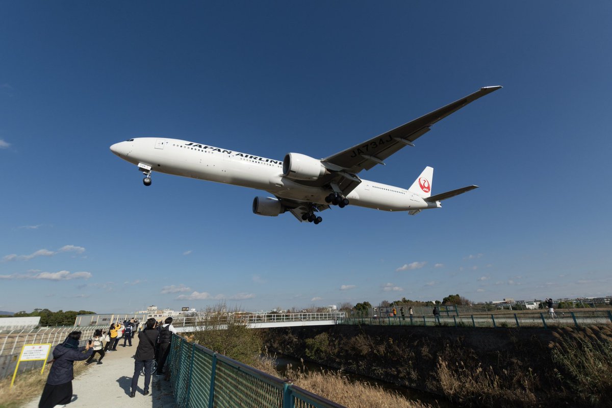 AKI86TV_K's tweet photo. JAPAN AIRLINES
777-300ER
JA734J

この時間帯の伊丹に77Wは中々新鮮、JALからのクリスマスプレゼントやね🎁 https://t.co/PlZwnL0KDk