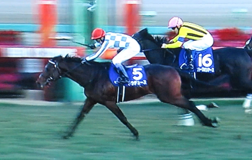 bluemac55's tweet photo. #有馬記念 #武豊 騎手 #ドウデュース　見事勝利!!!!!!! https://t.co/lVOUPHCyQ5