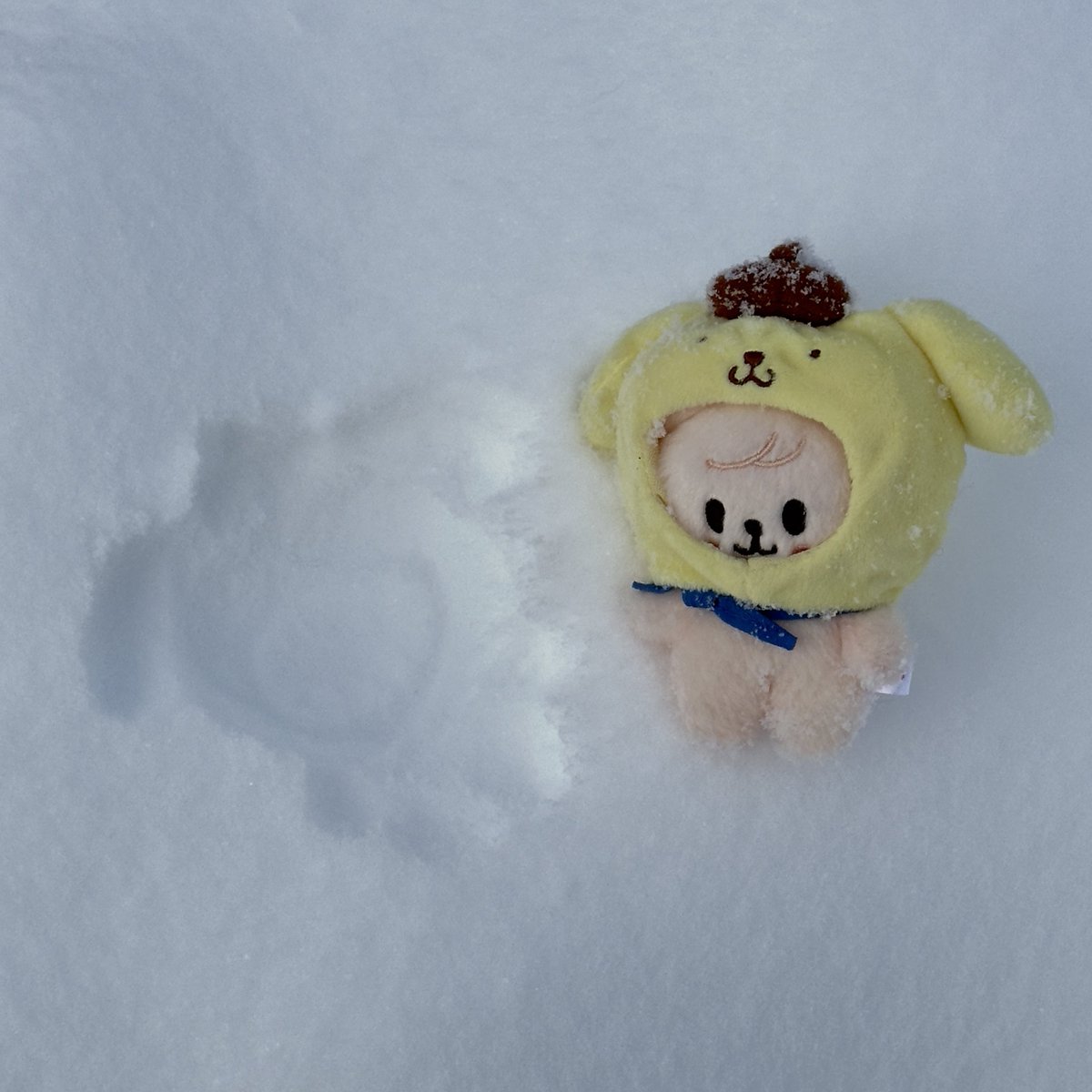 mang_sep9's tweet photo. 앟...❄️ https://t.co/4bN7FjINN8