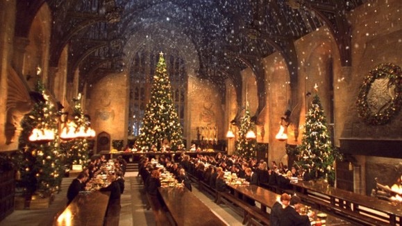 TheDailyHPotter's tweet photo. The best Christmas movie ever ✨ https://t.co/a3aec851yk