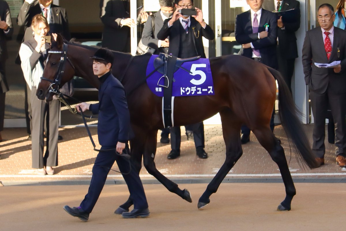PurpIeandYellow's tweet photo. 2023/12/24
中山競馬場11R  #有馬記念(GI)
勝ち馬:#ドウデュース 号(3枠5番)
勝利騎手:#武豊 騎手(4勝目)

表彰式のプレゼンターは、#長澤まさみ さんが務められました。
関係者の皆さま、おめでとうございます。 https://t.co/34Ma4Lnv8Z