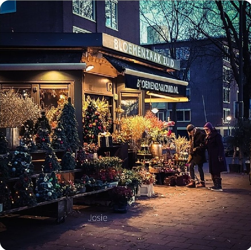 josephiensierag's tweet image. #Dag24 de laatste dag van de #Foto_Adventskalender. Na vandaag zijn we uitgeteld
Morgen is het Kerstmis, feest van hoop, vrede en liefde. Maar eerst nog #Kerstavond, de avond voor Kerst. Wat doen jullie met of op de dag van Kerstavond en welke foto hoort daar dan bij? Kom maar op