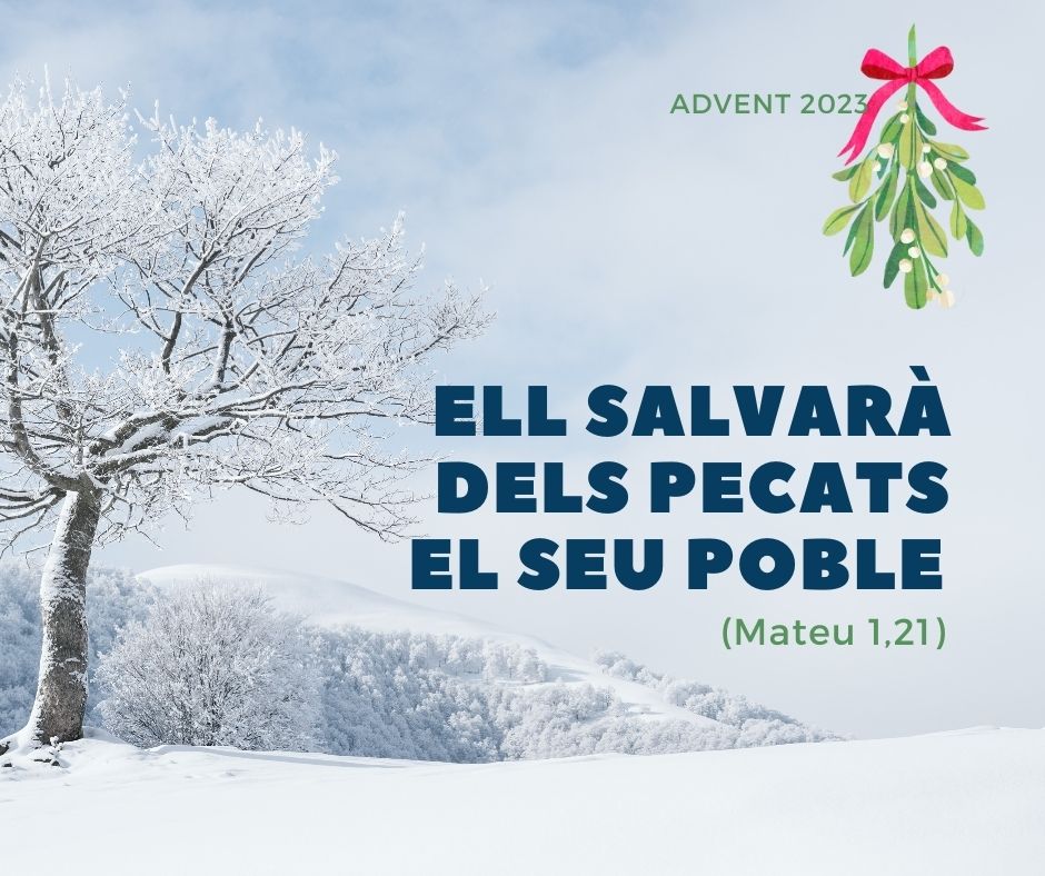 BisbatUrgell's tweet image. #Bondia #Advent2023