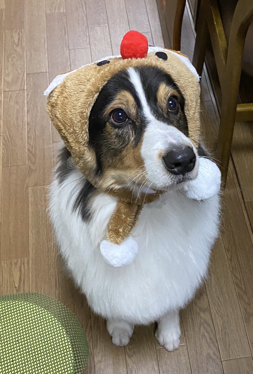 iwillbehappy11's tweet photo. メリークリスマス🎁🎄
2023.12.24
大好きなケーキ食べたよ❤️ https://t.co/NUWl1jtY7F