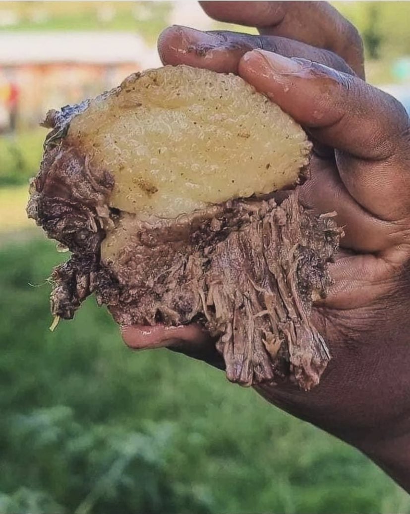 MajesticMvelase's tweet image. I&apos;m now ready to take invite, and ngidla kwasani etafuleni. Ngizwe awuzwakali uthini ngempela? #Decemberchallenge
#keDezembaChallenge #Gijima_SA #Eskomac #Runners #Endurance
#RunningWithTumi
Check out my activity on Strava: strava.app.link/7Ym432uLMFb