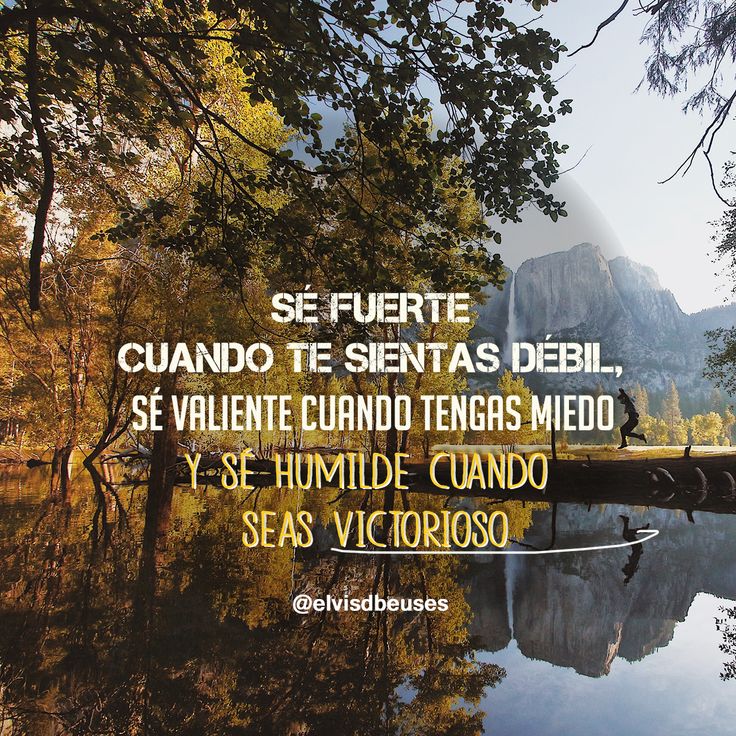 EscueladeVida21's tweet photo. https://t.co/7qRf7auAtM