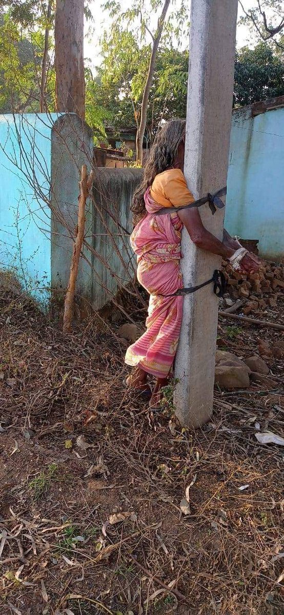 ଘଟଣାଟି ଘଟିଛି କେନ୍ଦୁଝର ଜିଲ୍ଲାରେ, ସାମାନ୍ୟ କୋବି ଖଣ୍ଡେ ବୁଢ଼ୀ ମା ଟି ଖାଇଦେଲା ବୋଲି ଇଲେକ୍ଟ୍ରି ଖୁଣ୍ଟରେ ବାନ୍ଧି ପଶୁ ଭଳି ମାଡ଼ ମାରିଲା ଜନ୍ମିତ ପୁଅ ଏବଂ ବୋହୂ, ଏମାନଙ୍କୁ କଣ କୁହାଯିବ ପଶୁ ଠୁ ବି ହୀନ ଏମାନେ !