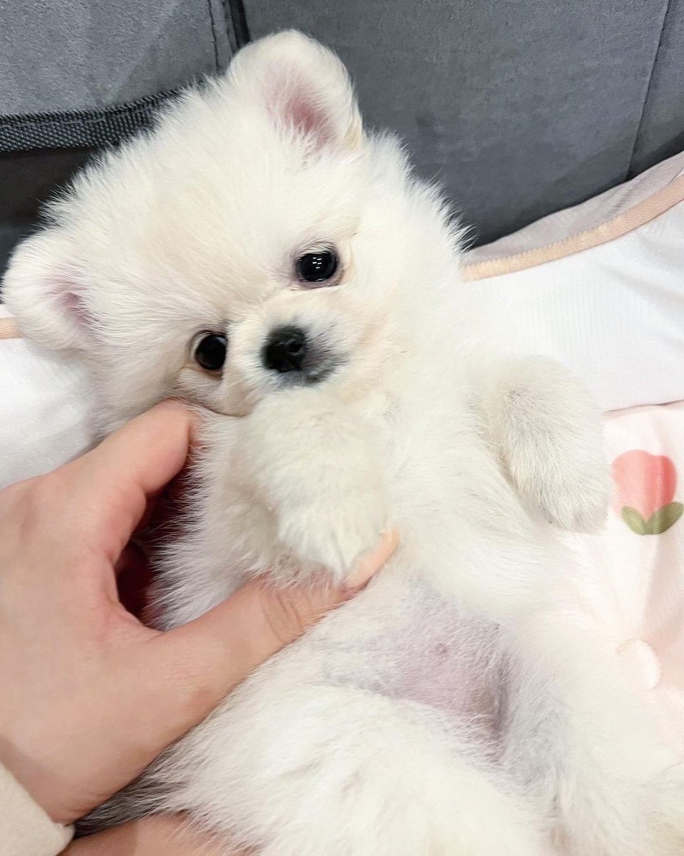 long weekend mini diary