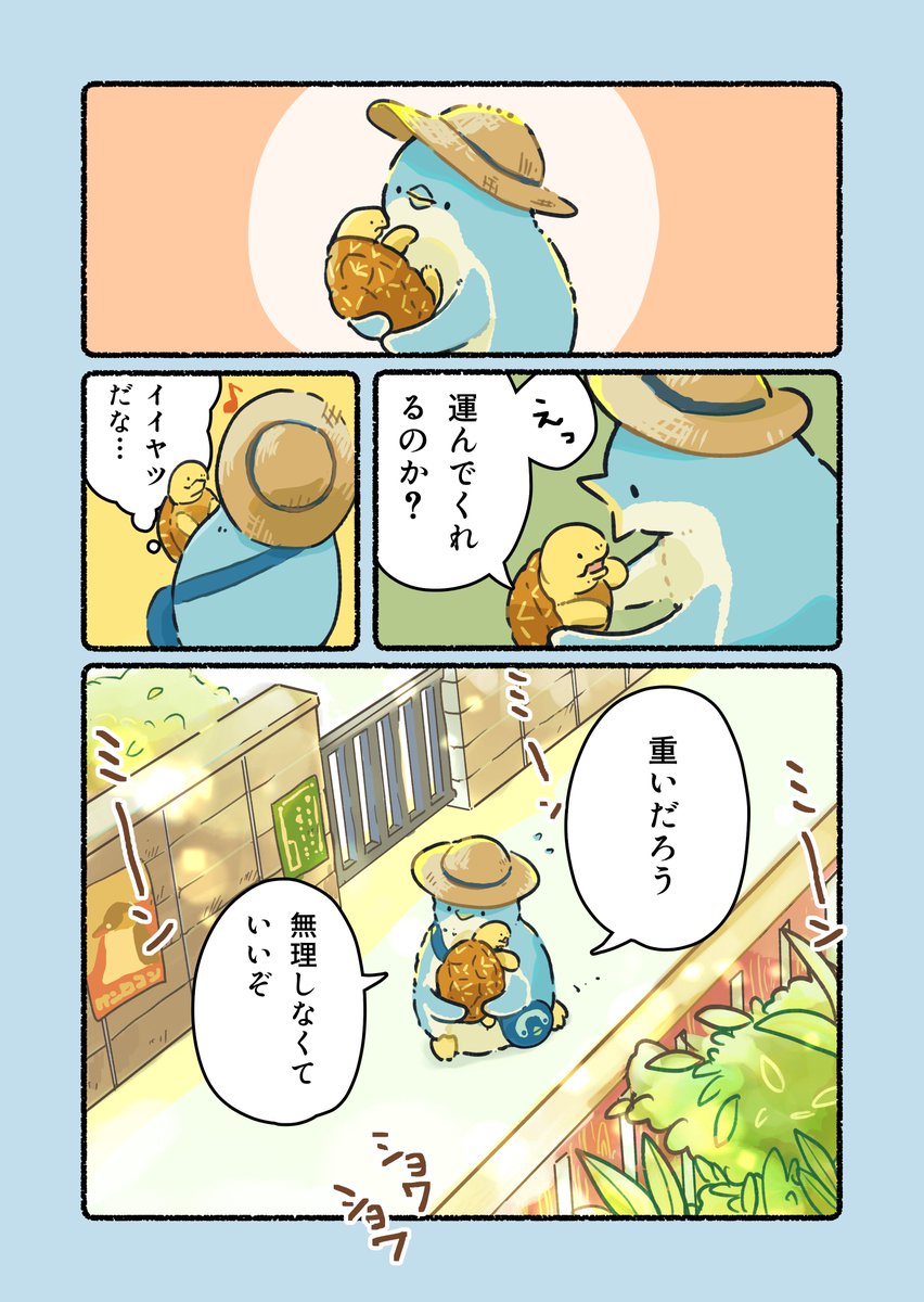 ある暑い日に出会う、カメとペンギンのお話(2/2) 