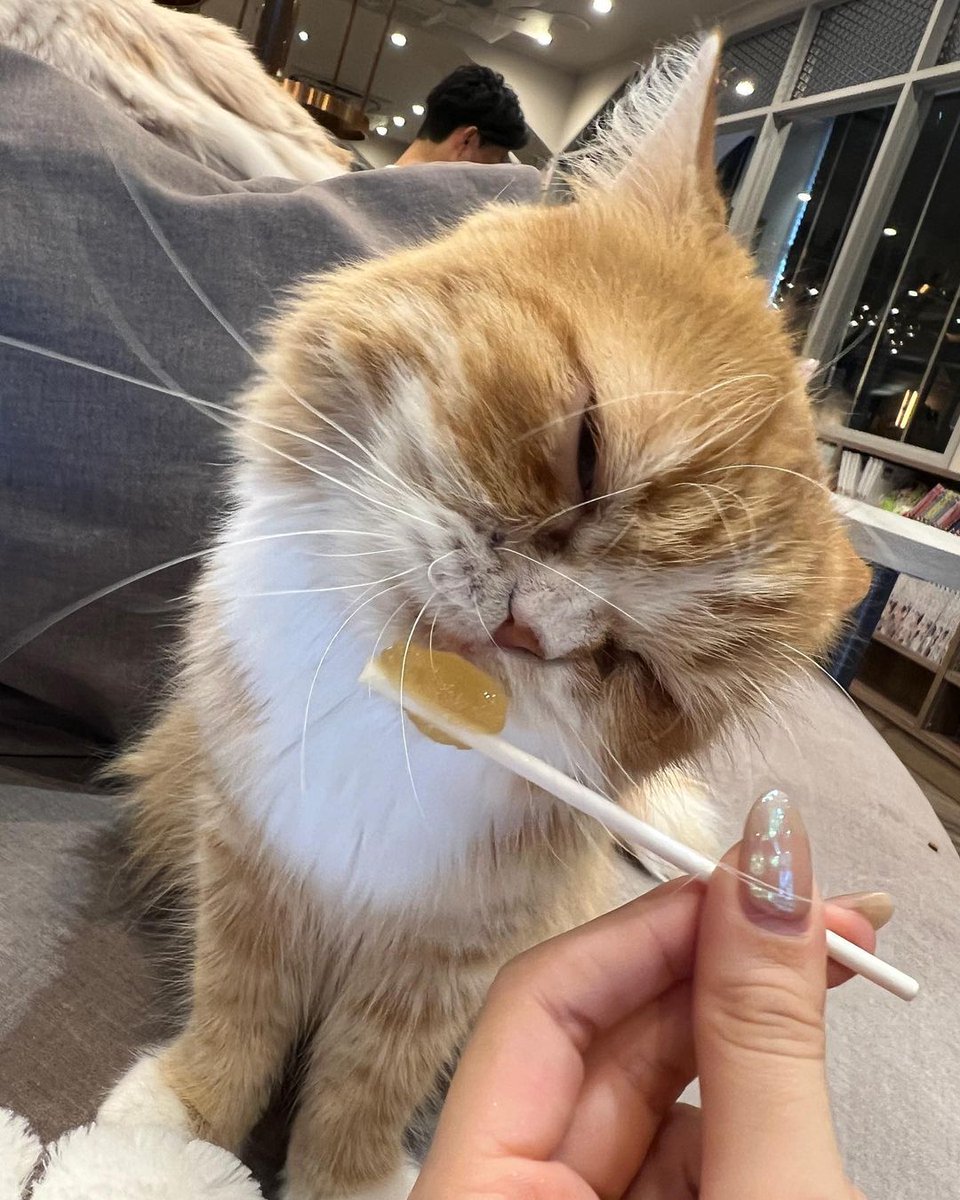 long weekend mini diary