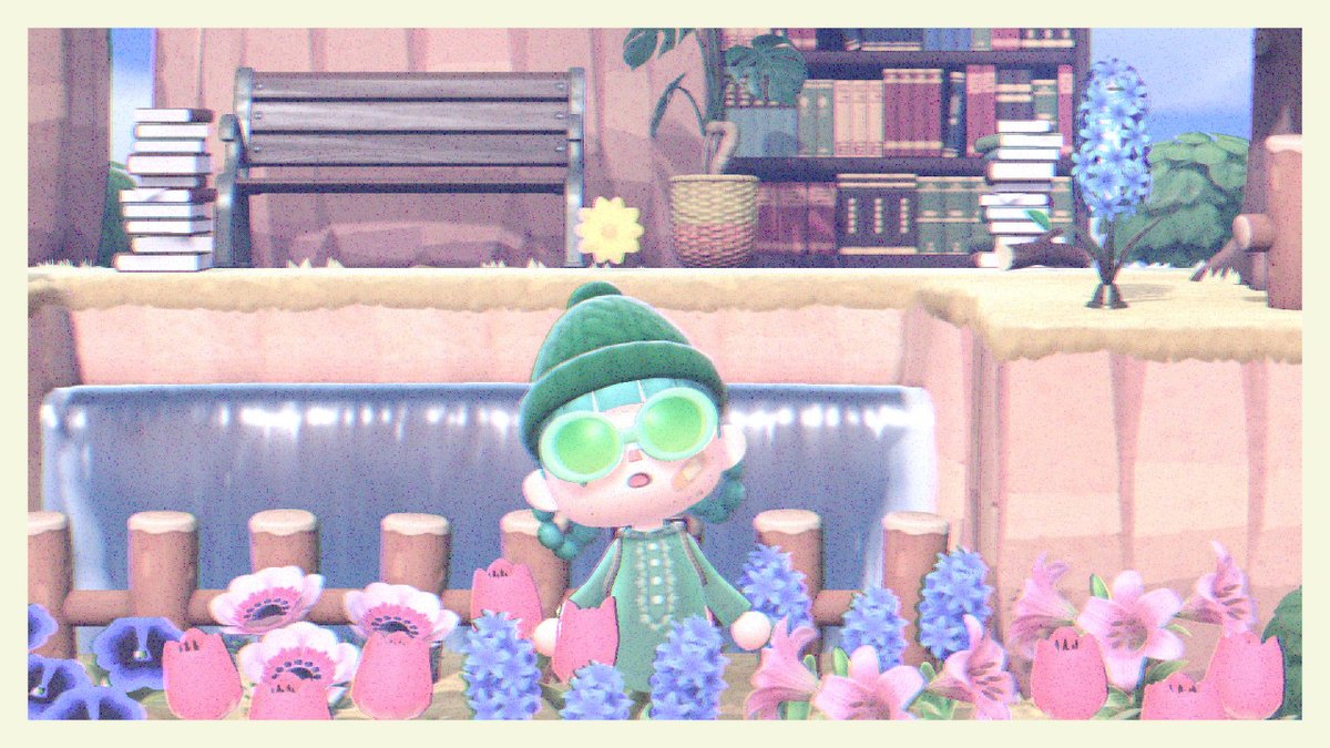 CircinusIsland's tweet photo. #AnimalCrossing #ACNH #NintendoSwitch https://t.co/7oJGsspcsA